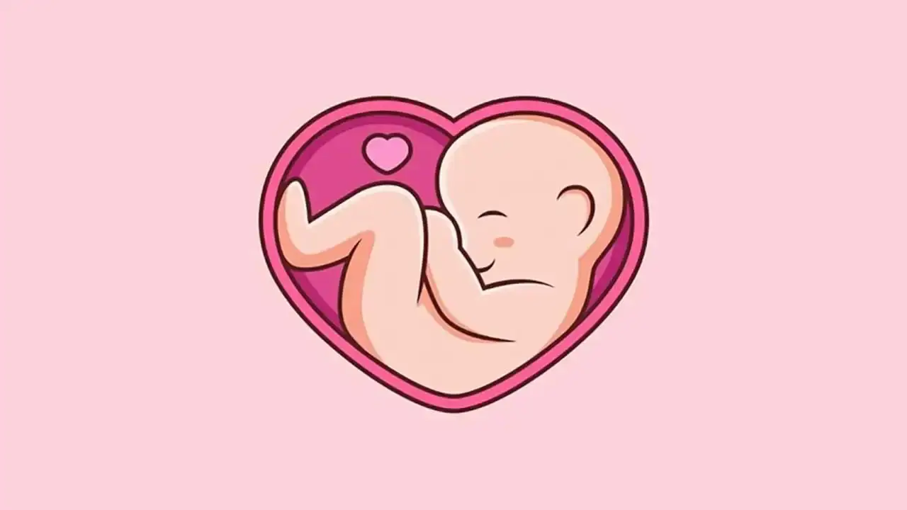 مانیتورینگ قلب جنین - نبض هوشمند سلامت