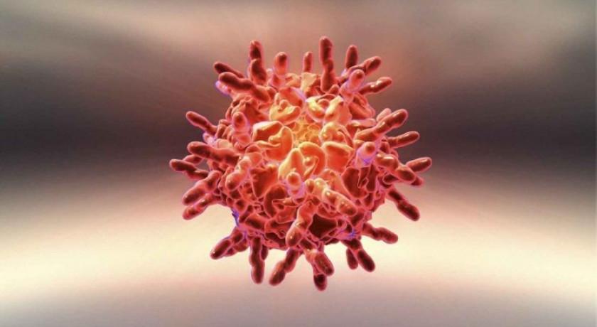 راه های مقابله با ویروس کرونا چیست؟ - نبض هوشمند سلامت